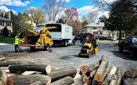 Best Tree Preservation Services  in Oak Park, MI