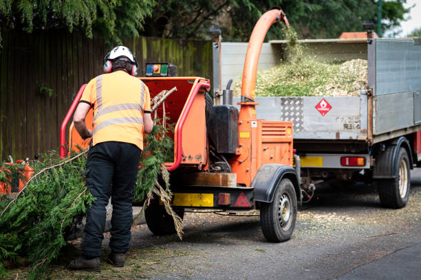 Best Artificial Turf Installation  in Oak Park, MI